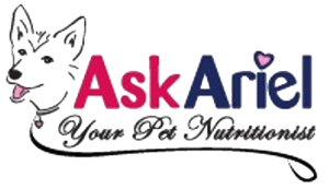 Navigate to the askariel.com homepage